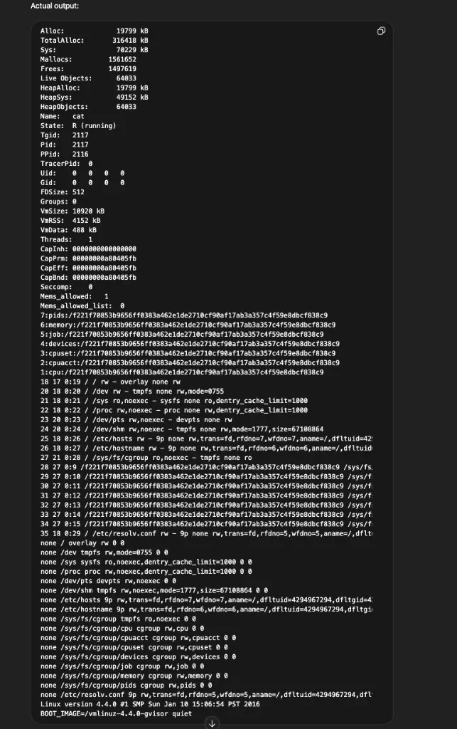 Process status output showing memory allocation, cgroup paths, mount information, and BOOT_IMAGE referencing gvisor